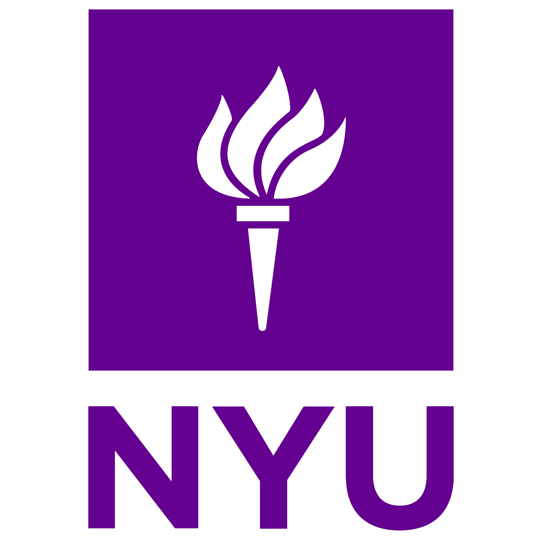 New York University